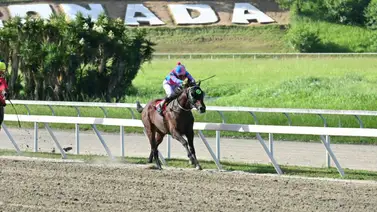 Cuidado con este que en su última no quería perder y ajustó cómodo para hacer suya la tercera válida en La Rinconada Cuidado con este que en su última no quería perder y ajustó cómodo para hacer suya la tercera válida en La Rinconada