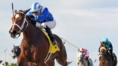 Venezolanos lograron cinco triunfos de nueve carreras en Tampa Bay Downs Venezolanos lograron cinco triunfos de nueve carreras en Tampa Bay Downs