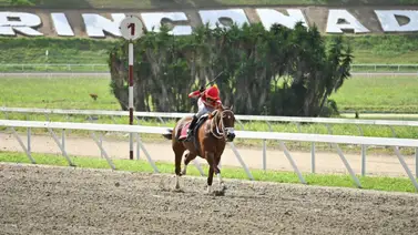 Este fue el ejemplar que obtuvo mejor ajuste el miércoles en La Rinconada Este fue el ejemplar que obtuvo mejor ajuste el miércoles en La Rinconada