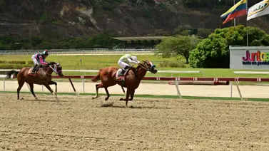Atentos con este ejemplar que da por video y podría ofrecer un excelente dividendo en La Rinconada Atentos con este ejemplar que da por video y podría ofrecer un excelente dividendo en La Rinconada