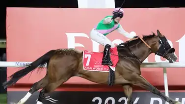 El mejor caballo del mundo se perderá la carrera más rica del mundo por este detalle El mejor caballo del mundo se perderá la carrera más rica del mundo por este detalle