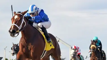 Venezolanos lograron cinco triunfos de nueve carreras en Tampa Bay Downs Venezolanos lograron cinco triunfos de nueve carreras en Tampa Bay Downs