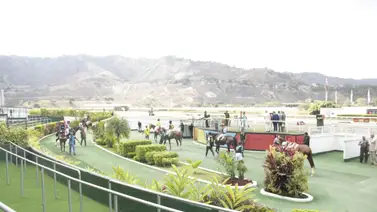 Datos de última hora para el Hipódromo Internacional La Rinconada 16-2-2025 Datos de última hora para el Hipódromo Internacional La Rinconada 16-2-2025