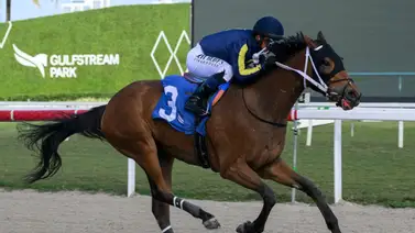 Back to Back para el jinete zuliano Javier Castellano Back to Back para el jinete zuliano Javier Castellano