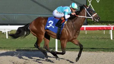 Irad Ortiz Jr busca esta semana superar el número de triunfos en febrero Irad Ortiz Jr busca esta semana superar el número de triunfos en febrero