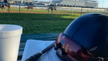 Aquí están los datos de última hora para Gulfstream Park que incluye el Best Best y los Picks para la jornada 14-2-2025 Aquí están los datos de última hora para Gulfstream Park que incluye el Best Best y los Picks para la jornada 14-2-2025