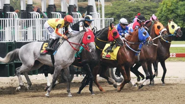 Ejemplares en carrera en la arena caraqueña.