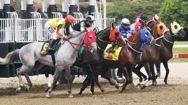 Ejemplares en carrera en la arena caraqueña. Ejemplares en carrera en la arena caraqueña.