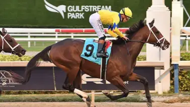 Caballo de Todd Pletcher que corre los $500 mil del Risen enfrenta un resultado positivo a medicamento prohibido Caballo de Todd Pletcher que corre los $500 mil del Risen enfrenta un resultado positivo a medicamento prohibido