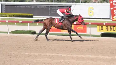 Aquí la observamos en plena carrera en el óvalo caraqueño. Aquí la observamos en plena carrera en el óvalo caraqueño.
