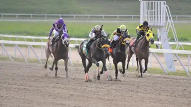 Ingresa aquí para que conozcas los caballos más fuertes en La Rinconada para este domingo Ingresa aquí para que conozcas los caballos más fuertes en La Rinconada para este domingo