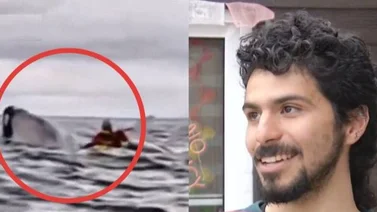 Así reaccionó el joven que fue succionado por una ballena jorobada en Chile (+Video)