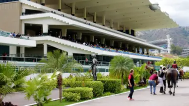 Favoritos de la cátedra para el 5y6 Nacional de la reunión N°5 en el hipódromo La Rinconada Favoritos de la cátedra para el 5y6 Nacional de la reunión N°5 en el hipódromo La Rinconada