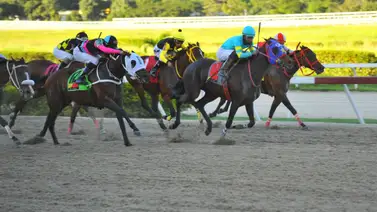 El dato más prometedor en La Rinconada que quiere superar a un fijo del 5y6 El dato más prometedor en La Rinconada que quiere superar a un fijo del 5y6