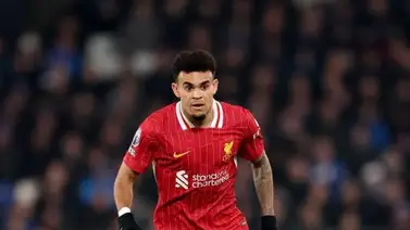 Premier League: Luis Díaz es apenas el cuarto colombiano que consigue este registro (+video) Premier League: Luis Díaz es apenas el cuarto colombiano que consigue este registro (+video)