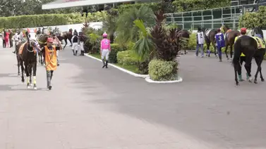 Ingresa aquí para ver la reunión número 5 de La Rinconada por Meridiano Televisión Ingresa aquí para ver la reunión número 5 de La Rinconada por Meridiano Televisión