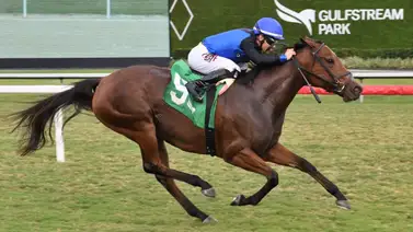 Entrenador venezolano que tenía dos años sin presentar ejemplares en Estados Unidos consiguió senda victoria Entrenador venezolano que tenía dos años sin presentar ejemplares en Estados Unidos consiguió senda victoria