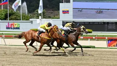 Un favorito se enfrenta a exámenes médicos luego de culminada la quinta reunión en La Rinconada Un favorito se enfrenta a exámenes médicos luego de culminada la quinta reunión en La Rinconada