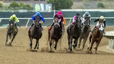 No habrá carreras este lunes en estos hipódromos de Estados Unidos en el Día de los Presidentes No habrá carreras este lunes en estos hipódromos de Estados Unidos en el Día de los Presidentes