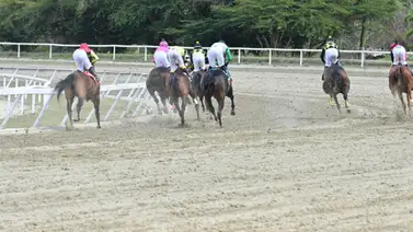 Conoce las explicaciones tras la derrota de uno de los preferidos del ciclo no válido en La Rinconada Conoce las explicaciones tras la derrota de uno de los preferidos del ciclo no válido en La Rinconada