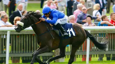 Ganador maduro del Premio Eclipse en grama repite victoria camino a la Dubái World Cup Ganador maduro del Premio Eclipse en grama repite victoria camino a la Dubái World Cup