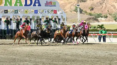 Jinete ganador de más de 2.300 carreras al nivel nacional regresa a La Rinconada Jinete ganador de más de 2.300 carreras al nivel nacional regresa a La Rinconada