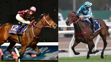 Este es el principal favorito para ganar la Saudí Cup el sábado Este es el principal favorito para ganar la Saudí Cup el sábado