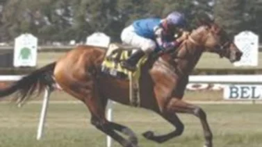 Muere ganador de la Breeders’ Cup Classic a los 27 años 