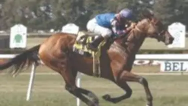 Muere ganador de la Breeders’ Cup Classic a los 27 años Muere ganador de la Breeders’ Cup Classic a los 27 años