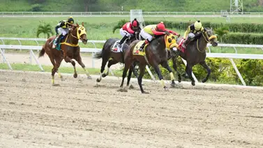 Caballo que le dio una victoria al jinete Ángel Castillo en La Rinconada regresa luego de 168 días sin correr Caballo que le dio una victoria al jinete Ángel Castillo en La Rinconada regresa luego de 168 días sin correr