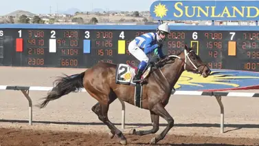 Steve Asmussen 1-2 con las hijas de Gun Runner en la Ruta a la Kentucky Oaks Steve Asmussen 1-2 con las hijas de Gun Runner en la Ruta a la Kentucky Oaks