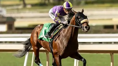 Medio hermano de Mage y Dornoch apunta al Kentucky Derby 151 Medio hermano de Mage y Dornoch apunta al Kentucky Derby 151