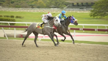 Después de 91 días de ausencia, regresa el caballo que fue dato en sus últimas dos actuaciones y no puedes olvidar