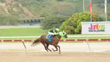 A pesar de más de dos años sin victorias este caballo surge como favorito en la R6 de La Rinconada A pesar de más de dos años sin victorias este caballo surge como favorito en la R6 de La Rinconada