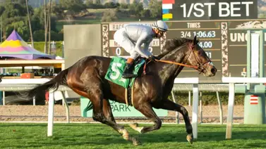 Scipio respondió al favoritismo en los $100.000 del Baffle Stakes en Santa Anita Scipio respondió al favoritismo en los $100.000 del Baffle Stakes en Santa Anita