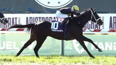 Yunta venezolana va por este Stakes del sábado en la Saudí Cup Yunta venezolana va por este Stakes del sábado en la Saudí Cup