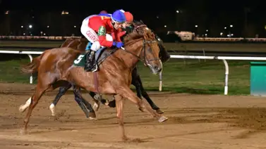 Bambino Cosmico. Bambino Cosmico.