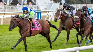 Irad Ortiz Junior se adjudicó una prueba Graded 3 de $175.000 en Nueva Orleans Irad Ortiz Junior se adjudicó una prueba Graded 3 de $175.000 en Nueva Orleans