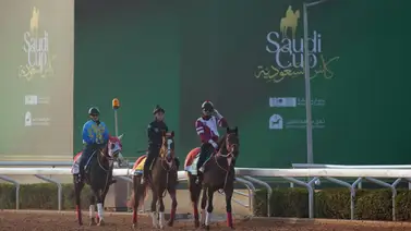 Conozca cuántas carreras y cuántos millones se van a entregar en la Saudí Cup Conozca cuántas carreras y cuántos millones se van a entregar en la Saudí Cup