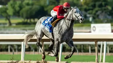 Roll On Big Joe se quedó con la tradicional Palos Verdes (G3) en Santa Anita Roll On Big Joe se quedó con la tradicional Palos Verdes (G3) en Santa Anita
