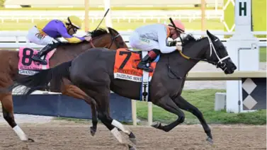 Dazzling Move sometió sobre la sentencia a Grand Job en el Royal Delta Dazzling Move sometió sobre la sentencia a Grand Job en el Royal Delta