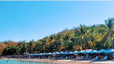 Carnavales 2025 | Conozca las playas habilitadas de los estados La Guaira y Miranda