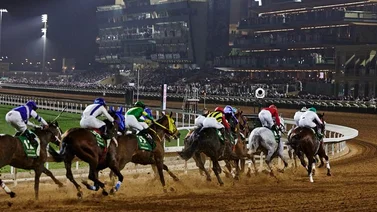 Estos cinco caballos apuntan a ser los batacazos de la Saudí Cup