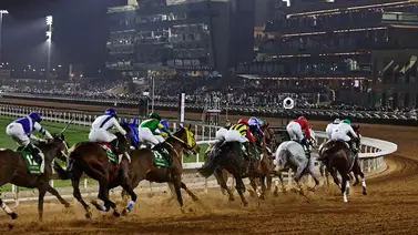 Estos cinco caballos apuntan a ser los batacazos de la Saudí Cup Estos cinco caballos apuntan a ser los batacazos de la Saudí Cup