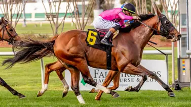 Mansa Musa con Irad Ortiz Junior se quedó con los $100.000 del Colonel Stakes Mansa Musa con Irad Ortiz Junior se quedó con los $100.000 del Colonel Stakes