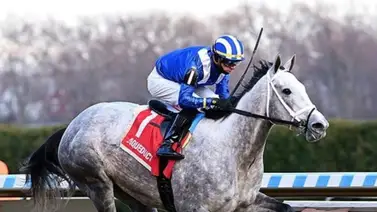 Nieta de Tapit que costó $700.000 debuta este domingo como tresañera Nieta de Tapit que costó $700.000 debuta este domingo como tresañera