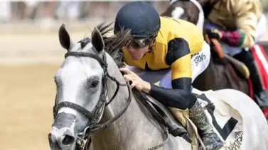 Llegó el Rebel Stakes segunda prueba millonaria rumbo al Derby con premios de $1.25 millones a repartir Llegó el Rebel Stakes segunda prueba millonaria rumbo al Derby con premios de $1.25 millones a repartir