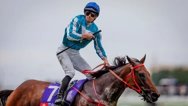 El mejor jockey y caballo del mundo en grama competirán en la Saudí Cup