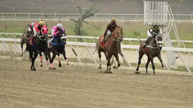 Ojo avizor con este ejemplar que da por video y podría vencer a uno de los fijos en La Rinconada Ojo avizor con este ejemplar que da por video y podría vencer a uno de los fijos en La Rinconada