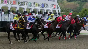 Ejemplares en carrera en la arena caraqueña. Ejemplares en carrera en la arena caraqueña.
